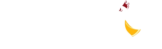 예술통닭